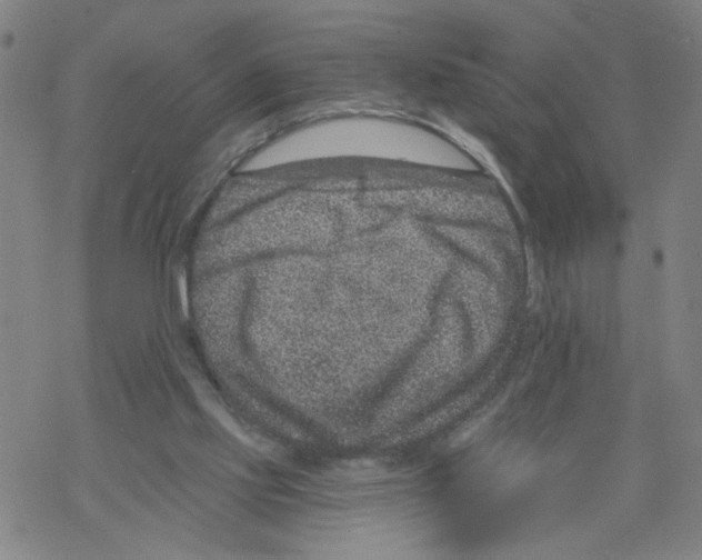 X0000068280061200605191903