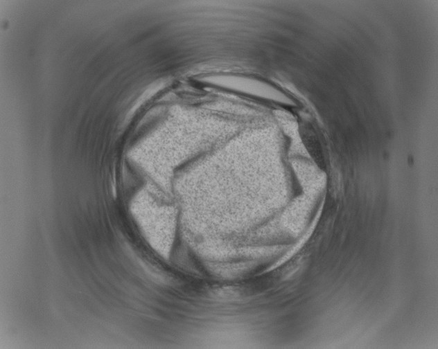 X0000068280062200605191903