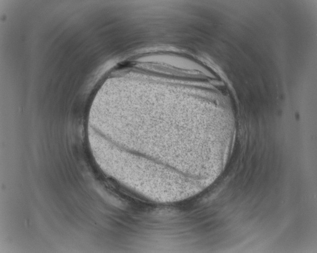 X0000068280063200605191903