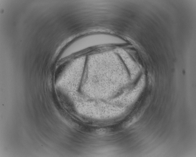 X0000068280064200605191903