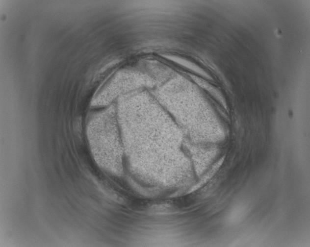 X0000068280066200605191903