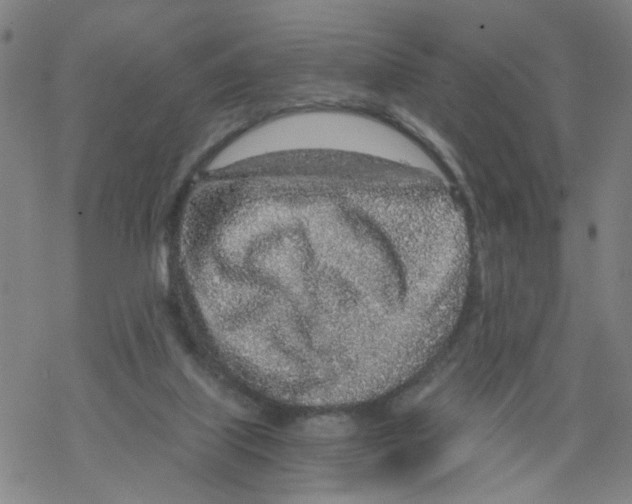 X0000068280067200605191903