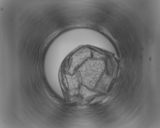 X0000068280068200605191904