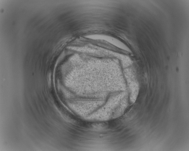 X0000068280070200605191904