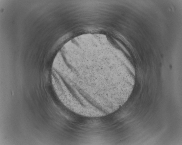 X0000068280071200605191904