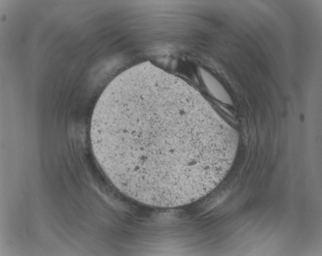 X0000068280072200605191904