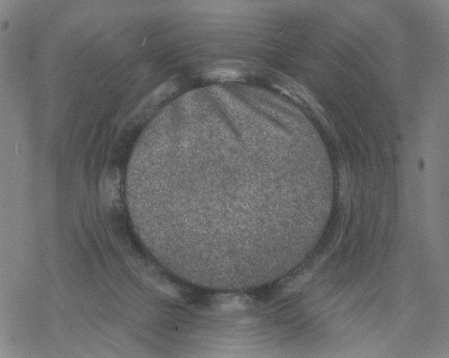 X0000068280073200605191904