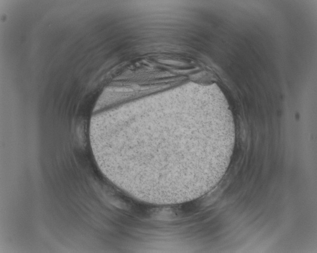 X0000068280074200605191904