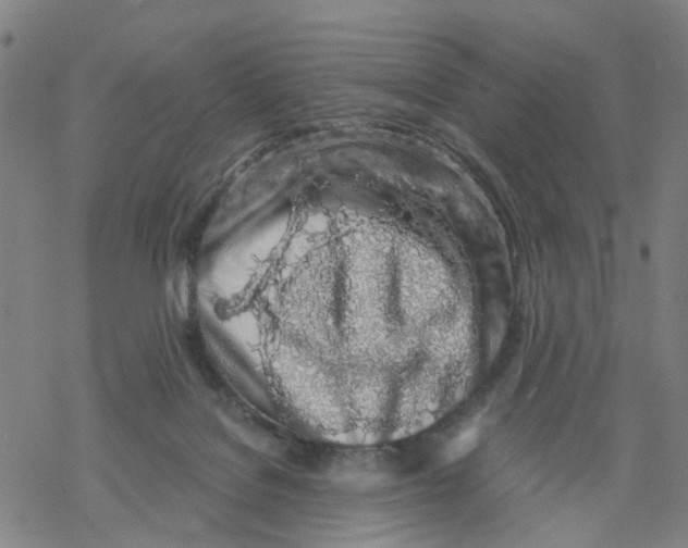 X0000068280076200605191904