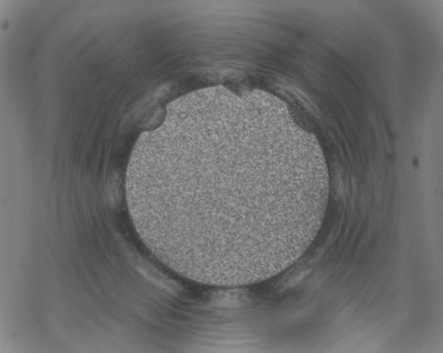 X0000068280077200605191904