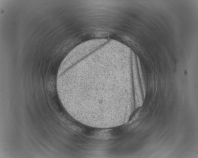 X0000068280078200605191904