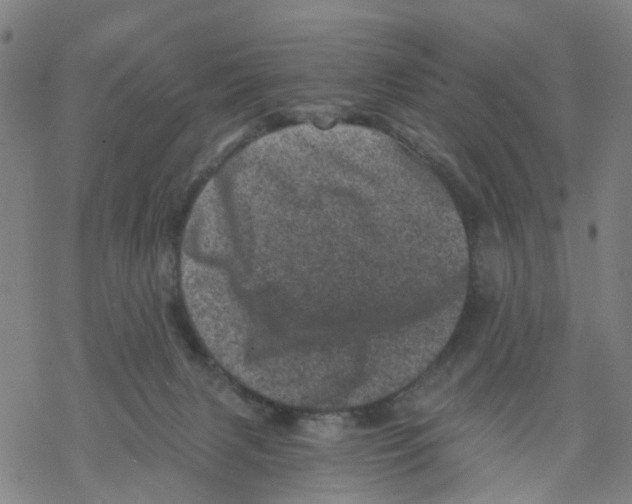 X0000068280079200605191904