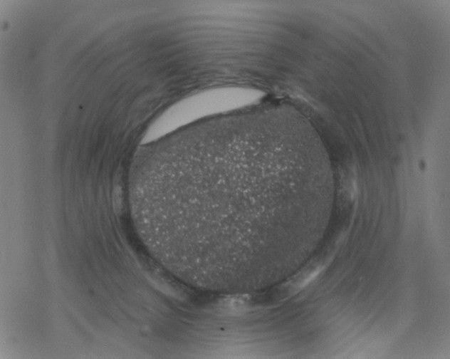 X0000068280080200605191904