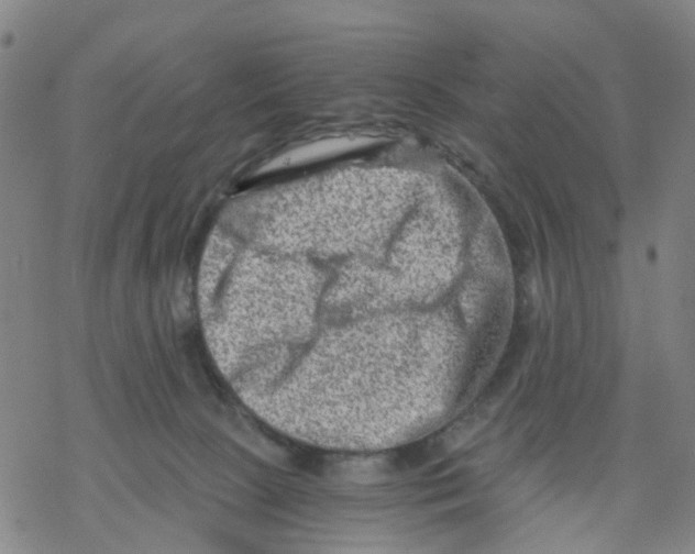 X0000068280081200605191904