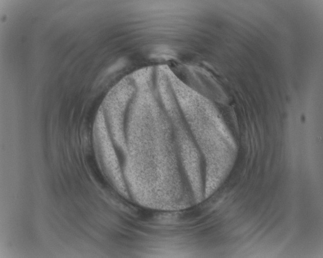 X0000068280084200605191904