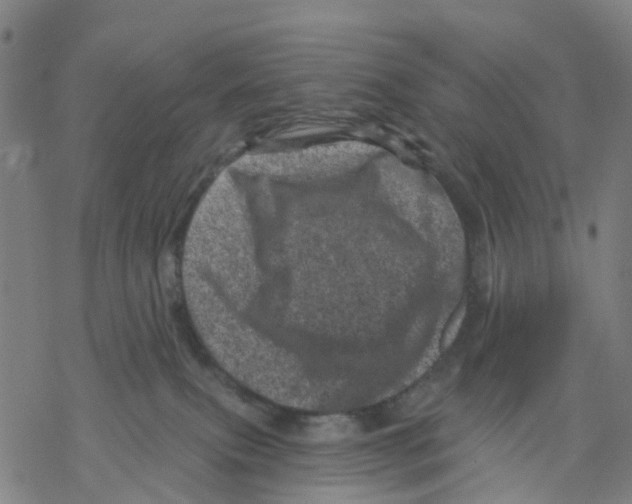 X0000068280087200605191904