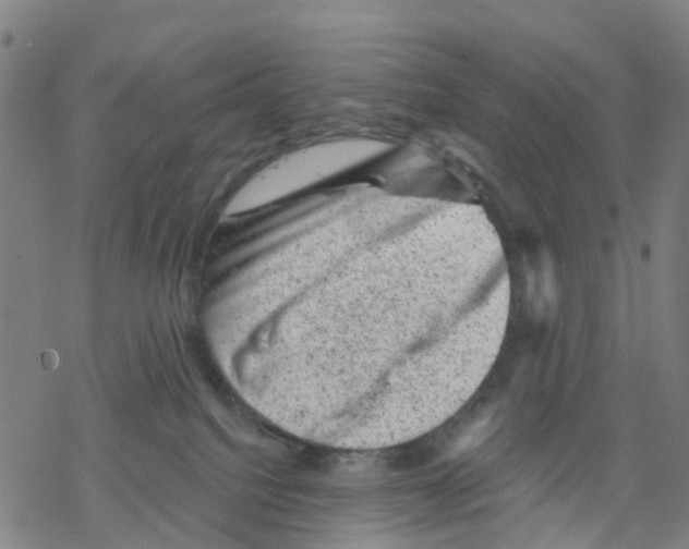 X0000068280088200605191904