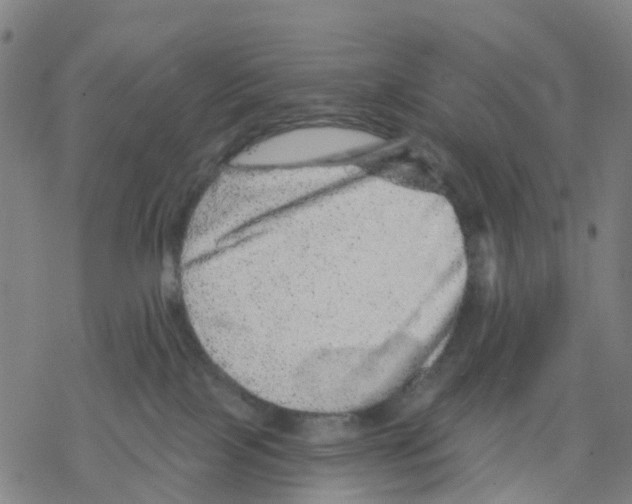 X0000068280089200605191904