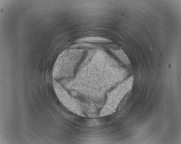 X0000068280091200605191904