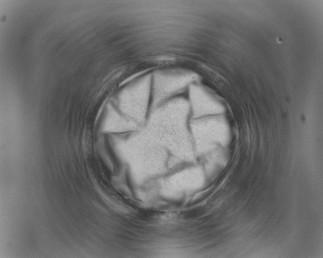 X0000068280092200605191904