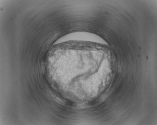 X0000068280093200605191904