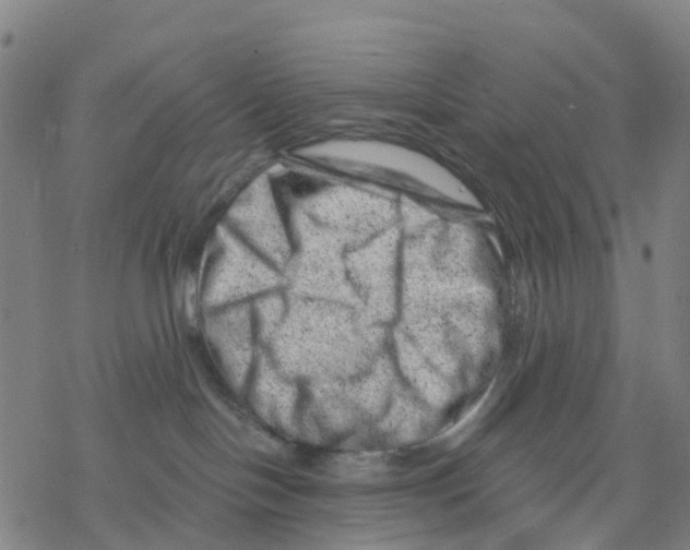 X0000068280094200605191904