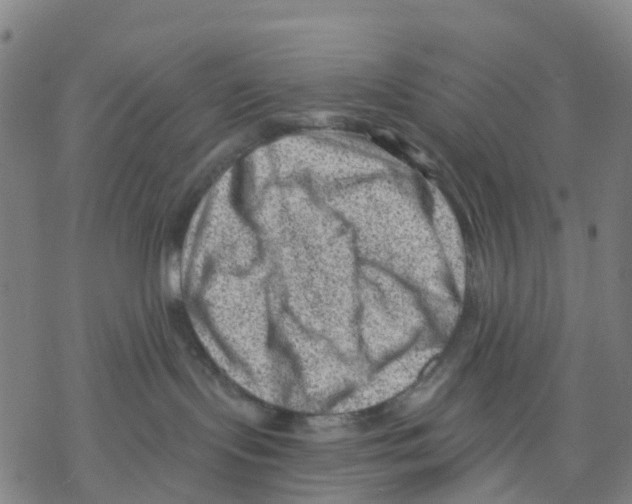 X0000068280095200605191904