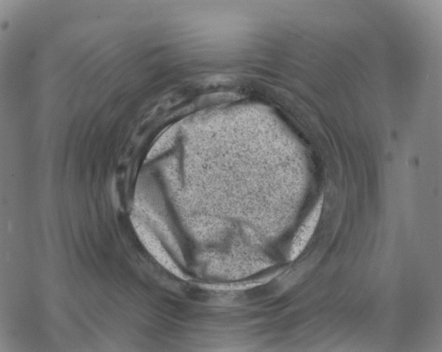 X0000068280096200605191904