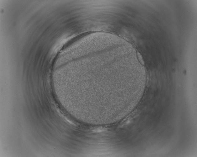 X0000068280098200605191903