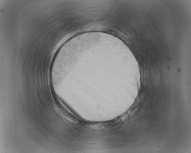 X0000068280100200605191903