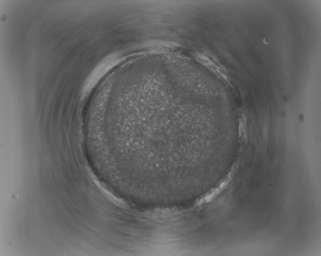 X0000068280101200605191903