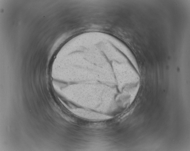 X0000068280102200605191903