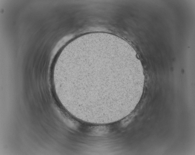 X0000068280104200605191903