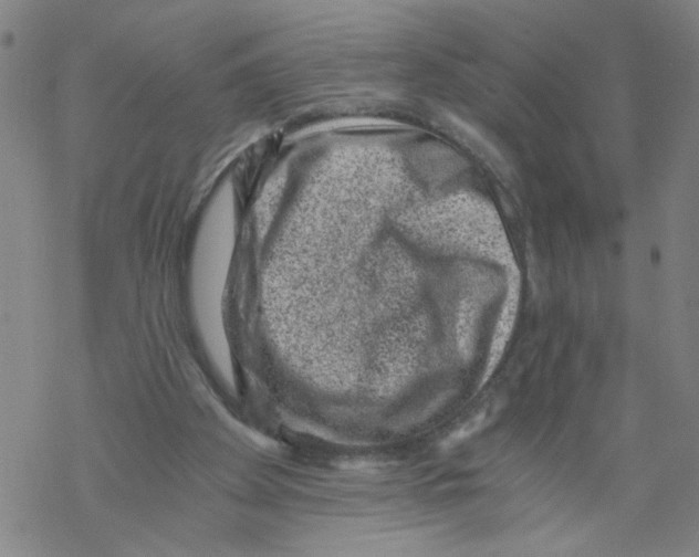 X0000068280105200605191903