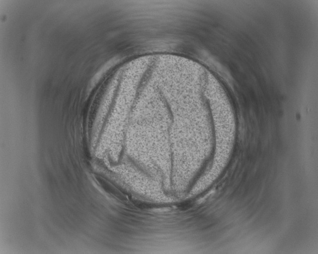 X0000068280107200605191903