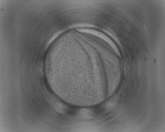 X0000068280111200605191903