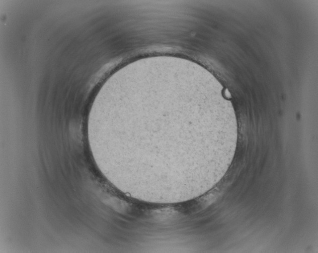 X0000068280112200605191903