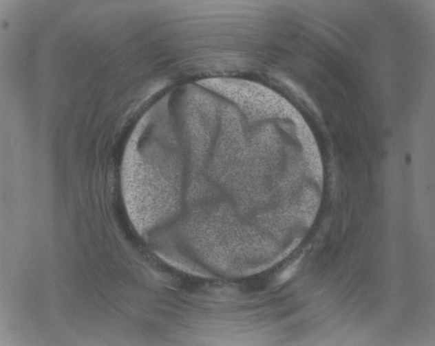 X0000068280113200605191903