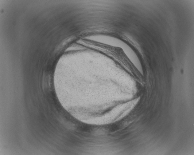 X0000068280115200605191903