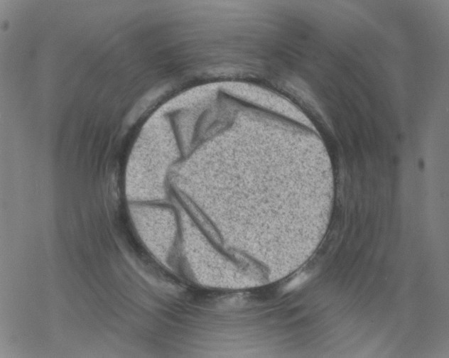 X0000068280116200605191903