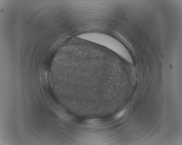 X0000068280117200605191903