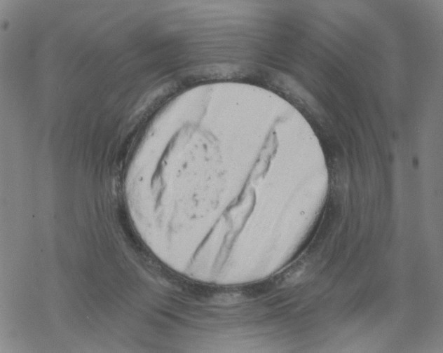 X0000068280119200605191903