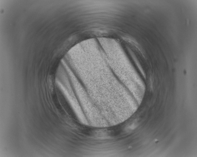 X0000068280121200605191903