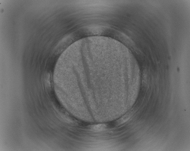 X0000068280122200605191903