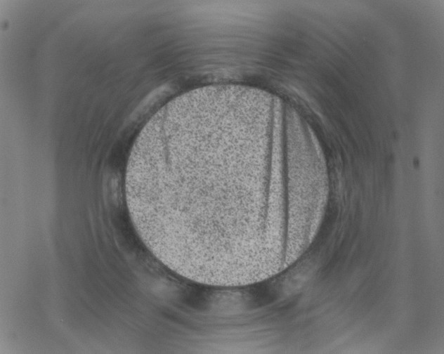 X0000068280123200605191903