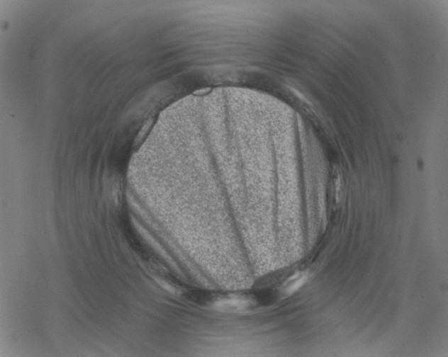 X0000068280125200605191903