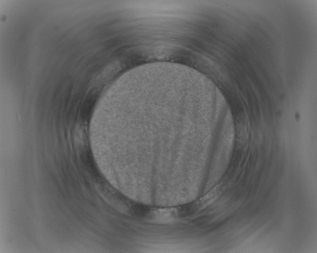 X0000068280126200605191903