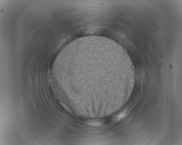 X0000068280127200605191903