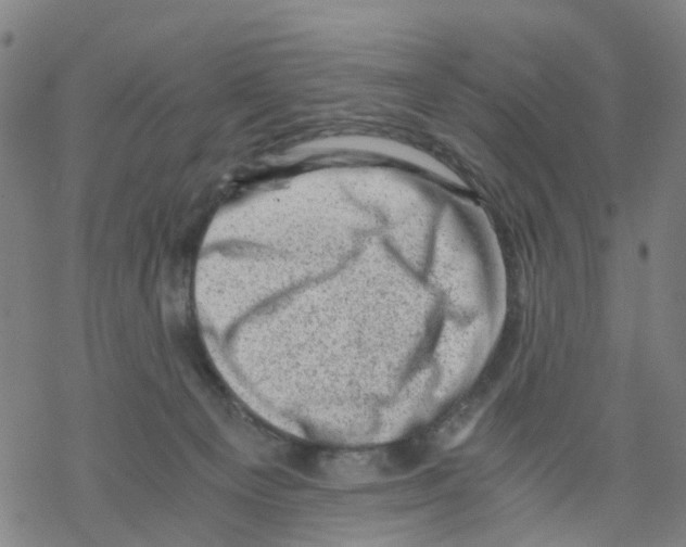 X0000068280129200605191903