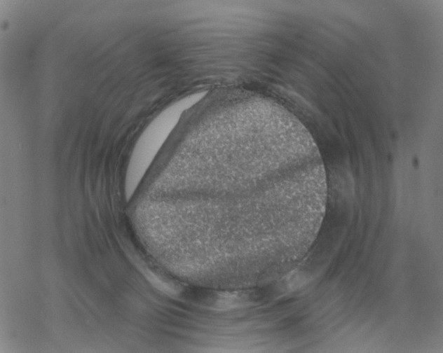 X0000068280130200605191903